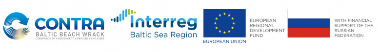 BSR logo EUflag transpA 2400px