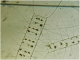 Структура сообществ фитопланктона в восточной части моря Лаптевых